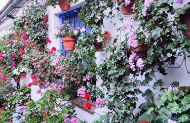 Apartamento Alcázar San Basilio - Foto 24