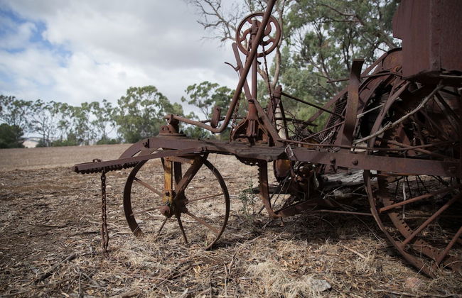 Hanisch Haus - Foto 15