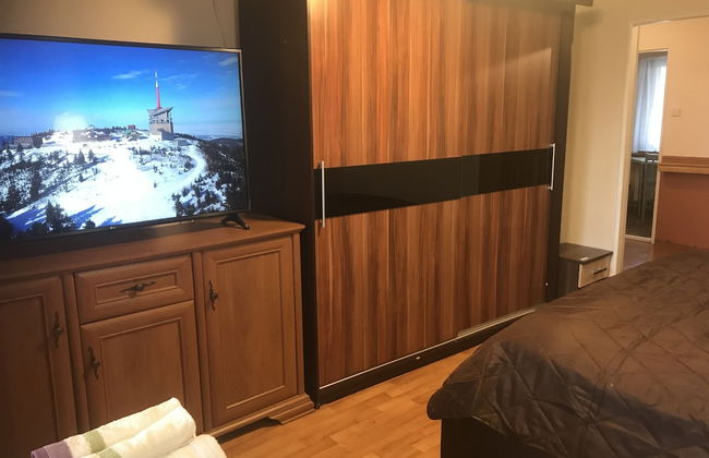 Apartment pod Lysou 3 Bedroom - Foto 5