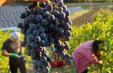 Villa Venti - Craft Wine & Hospitality - Foto 59