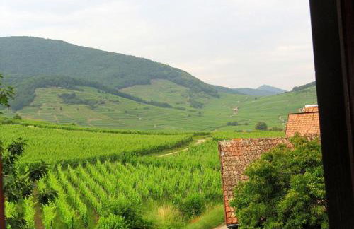 Plein Sud vue sur les Vosges et le vignoble - Foto 34