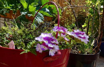 Modern Barn Conversion - Photo 47