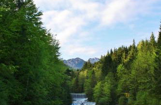 Appartements Apfelblüte - Foto 35