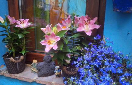 El patio azul Bohemio Mágico - Foto 25