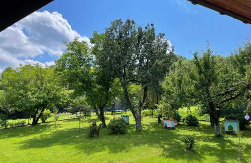 Agroturystka Dom w Owocowym Sadzie - Foto 9