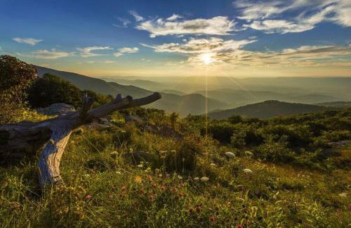 Mountain Whispers Harrisonburg JMU Shenandoah National Park - Foto 53