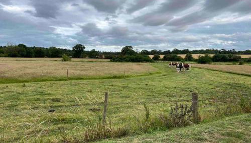 Luxury barn conversion near Southwold - Foto 5