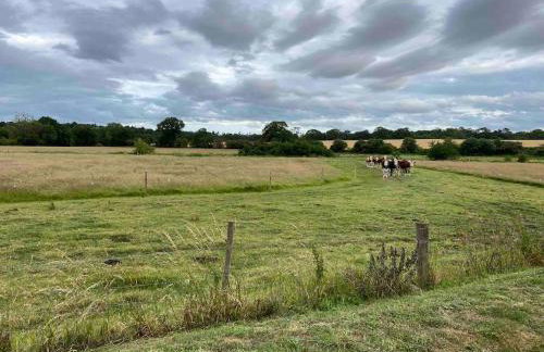 Luxury barn conversion near Southwold - Foto 5