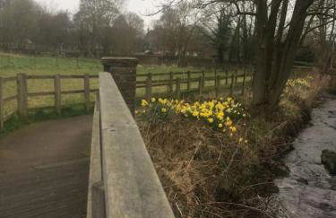 1800 Period Grade 2 Listed Cottage Addingham - Photo 27