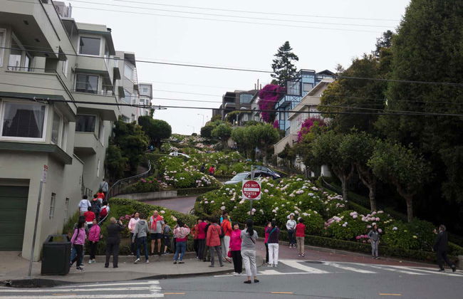 California 3 Day Trip - Foto 6