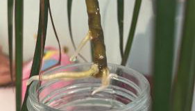 Maison proche de l ocean - Foto 2, Shower