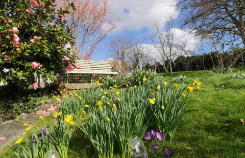 Clamoak Cottage - Foto 25