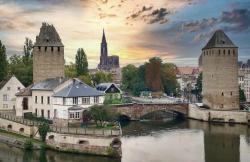 Gite Junior L'Ecrin du Ried PROCHE EUROPA-PARK - Foto 26