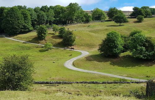 Poppy Cottage - Foto 14