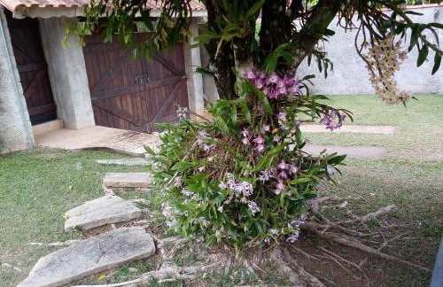 Rancho do Colega - Foto 23