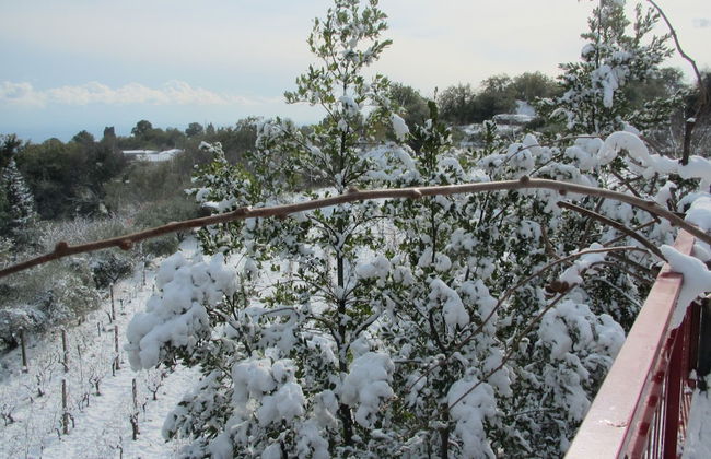 Agriturismo Etna-Mare - Photo 29