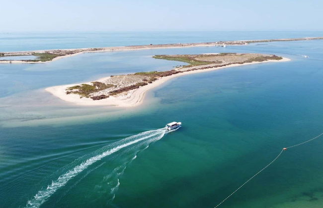 Balade en bateau sur la Ria Formosa - Photo 3