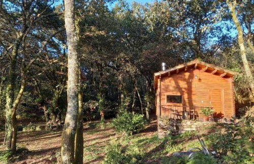 Veiga Mariña - Foto 38