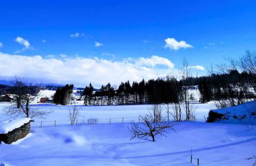 Ferien- und Businesswohnung Sonnentor Dreiländereck im zweiten Stock - Foto 30
