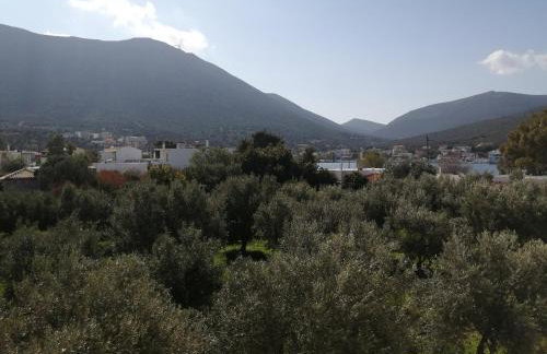 Almira Ghouse - Foto 33