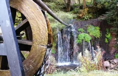 Schwarzwald-Ferienwohnungen Begert - Foto 28