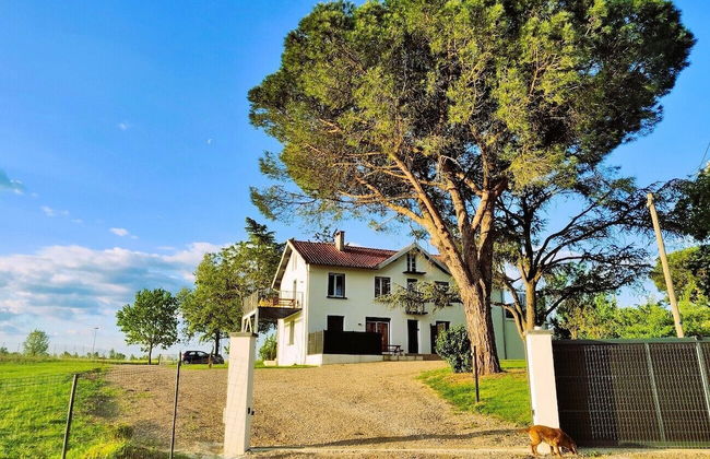 Le Cottage Nature Syrah - Foto 28