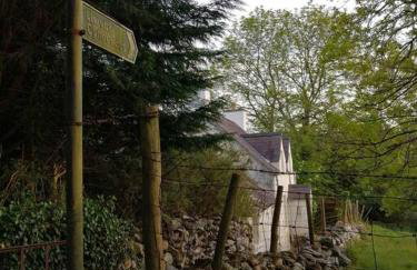 Lovely Stone Village cottage in Snowdonia - Foto 17