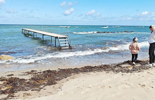 8 Person Holiday Home in Graested-by Traum - Foto 38