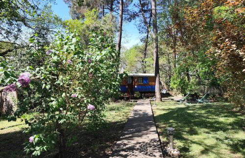 Les roulottes Vesta - Foto 58