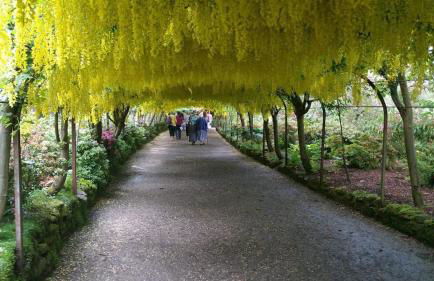 Hand Apartment, Llanrwst, Conwy, Snowdonia - Photo 23