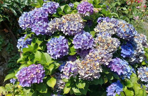 Puente Canto de Gredos - Photo 36