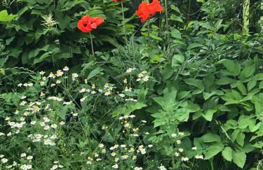 Villa Florentine - Foto 59