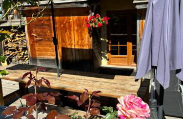 BEAU CHALET DE MONTAGNE SERRE CHEVALIER AU PIED DES PISTES PLEIN SUD - Foto 25