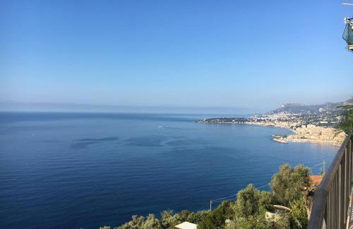 House in Grimaldi. Spectacular view over the French Riviera! - Foto 20