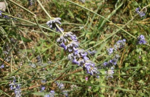 Monolocale di Meo - Foto 24