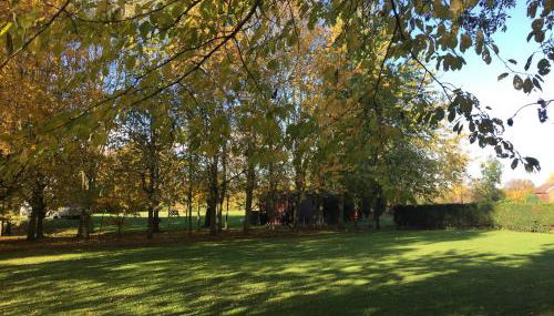 Holly's Lodge - Photo 3, Garden