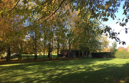 Holly's Lodge - Photo 3