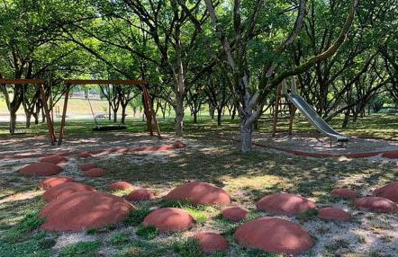 Aromas do Vouga - Foto 19