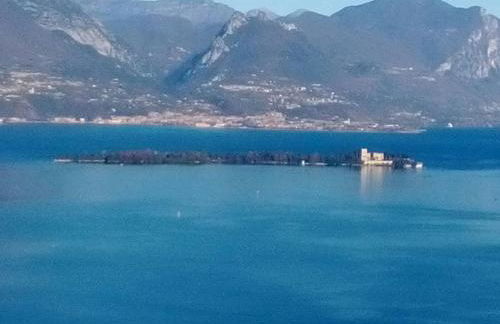 Prato Verde - Girasole - Foto 10