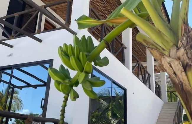 SAND BEACH PALM RESIDENCE - Foto 10