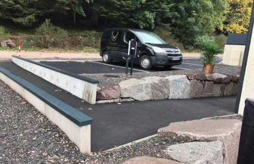 Les écureuils - Foto 14