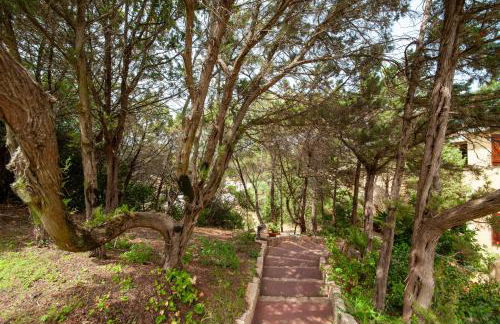 [PORTO CERVO MARINA] Incantevole appartamento vista Yacht - Foto 20