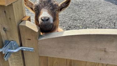 Samsfield Barn - Photo 3
