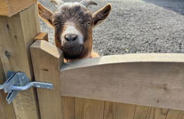 Samsfield Barn - Photo 3