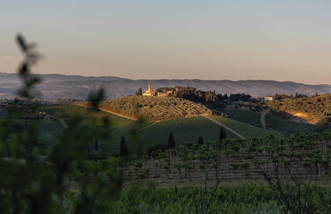 Agriturismo Casanova di Pescille - Foto 40