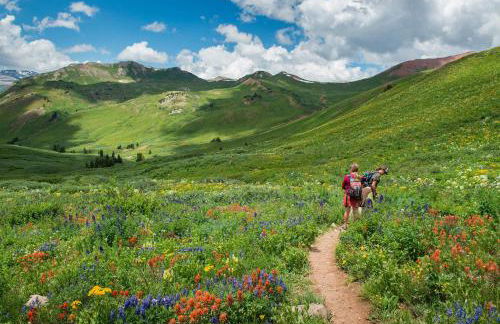 New Listing 2BR 2BA Condo - Mountain Views - Foto 64