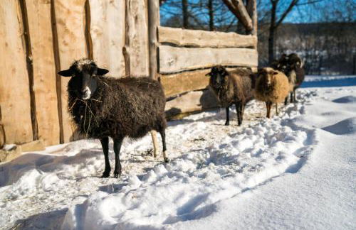 Ferienhof Homann Sauerland - Foto 54