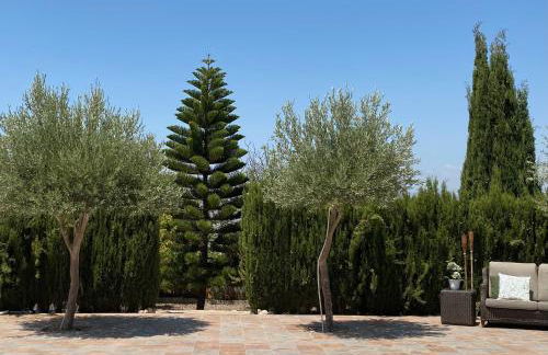 Chalet - Casa móvil Pinos - 3 beds, pool, private garden - Photo 15