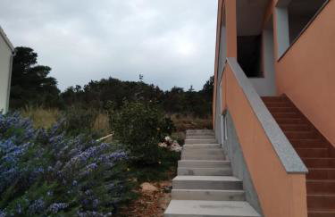 Apartman Golubinka - Molat - Photo 28