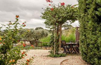 Aleixo's House | Alentejo - Foto 20